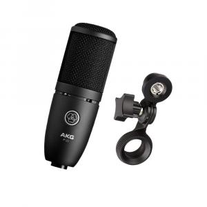 AKG PERCEPTION 120